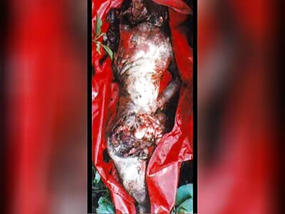 (REUPLOAD FROM 2008) 'MAMONAS ASSASSINAS' BRAZILIAN BAND FATAL PLANE CRASH IN 1996