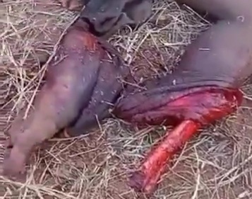 Nigerian farmer lost his leg after stepping on a landmine 