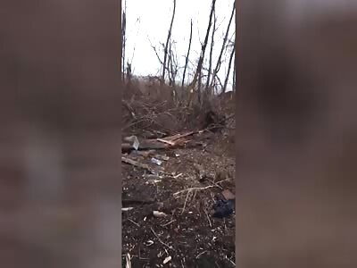 Russian Military executing surrendered Ukraine Soldiers