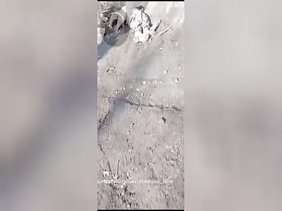 Corpses of Ukraine Army