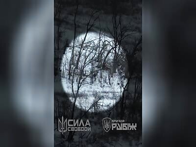 Mortar hit on Russians.