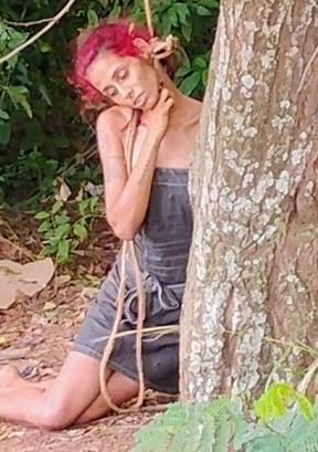 Who's That Hiding In The Tree