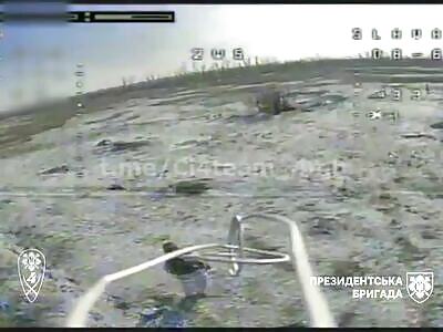 A whole swarm of FPVs is hunting Russians.