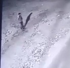 Guy Shoots Himself In The Head