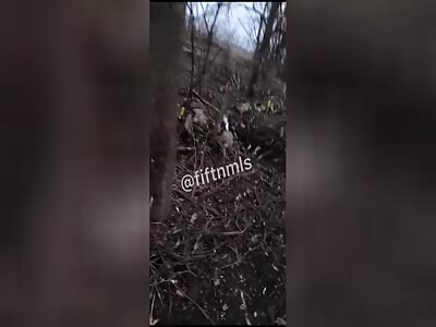 Six of the crests torn apart while trying to break through