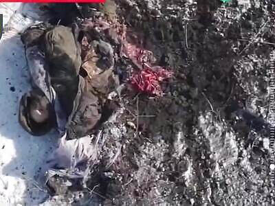 Minced Russian soldiers.