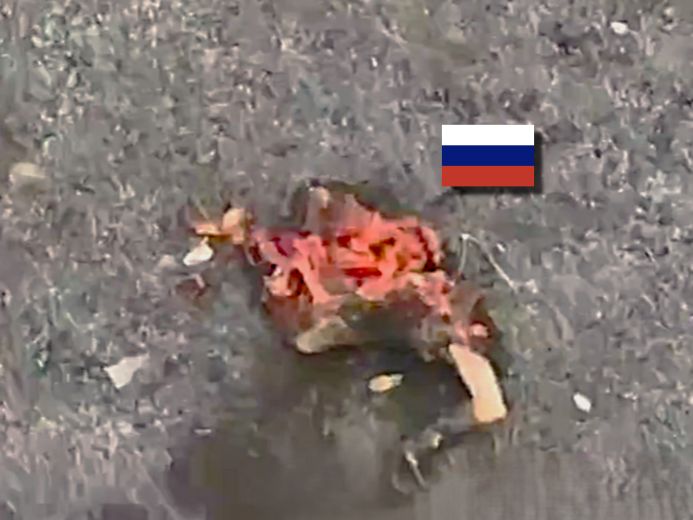 Compilation: Butchered, Burned & Broomsticked Blyats