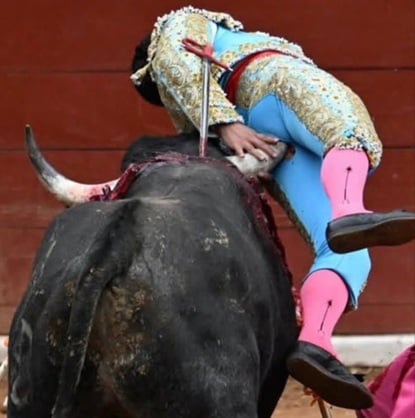 Mexican Bullfighter Fighting For Life After Goring
