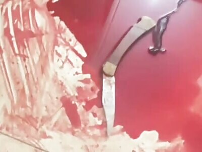 Transvestite Stabbed To Death In Motel Room By MMA Fighter