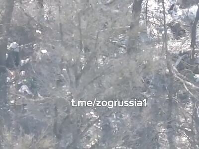 Ukrainian forces fighting in Kursk are almost surrounded-Reuters