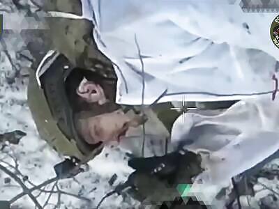 Russians are dying on Ukrainian fields.