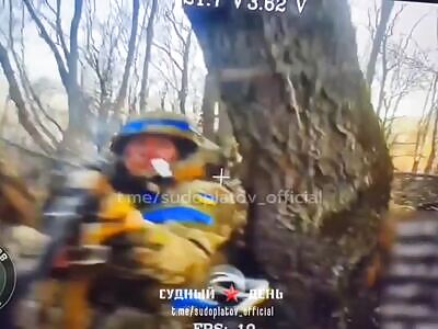 Retreating AFU and Russian FPV drones. Kursk.