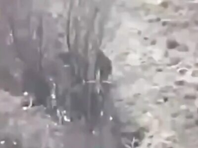 Failed Russian attack near Toretsk