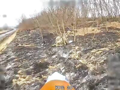 In a minute, something will fly to you...