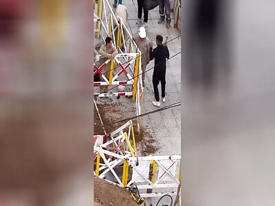 bully thinks he's Thor and...