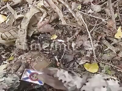 Some more dead Russian roosters from Kursk.