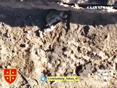 Several Russian soldiers taken out in the Pokrovsk direction.