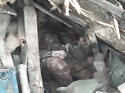 Drones bomb Russian terrorists.