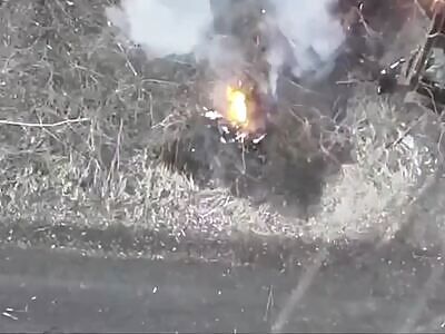 Russian with a torn ass.