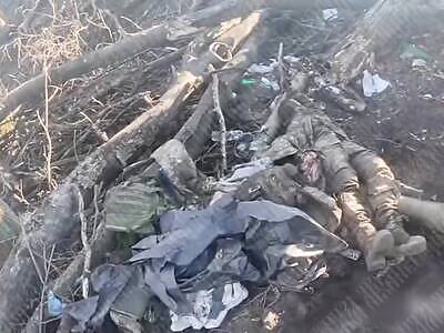 Enemy position liquidated 