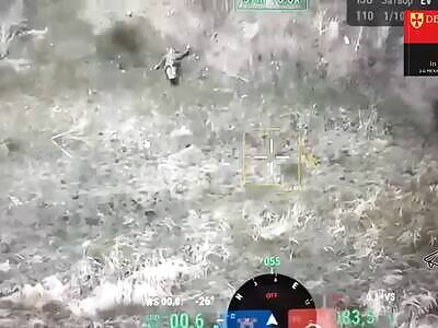 FPVs are punishing Russians.