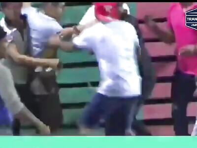 the revenge of the bulls is back