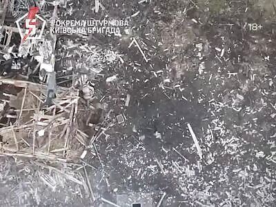 Accurate grenade drops on Russians.