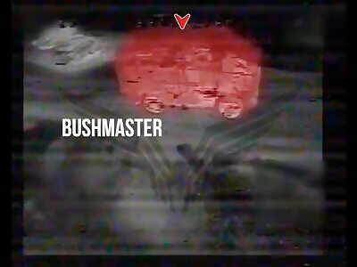 The work of the Rubicon combat groups