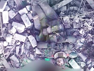 Hunting for Russian cockroaches.