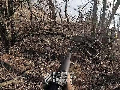 Ukrainians liberated the village of Nadiya.