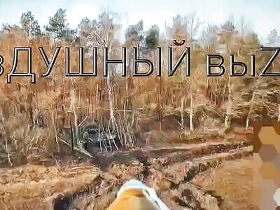 Driver Sticks his Snout at the Wrong Time