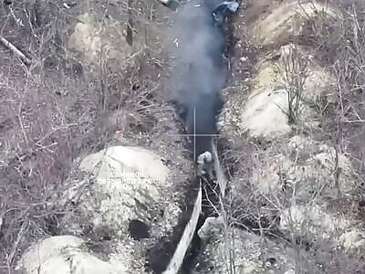 Ukro-Pig attack suffer fiasco in Krasnolimansk direction