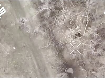 The hunt for Russians doesn't stop.