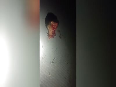 Searching For Biker's Lost Face