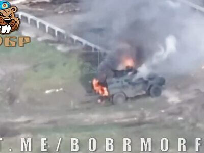 Combat work of Beaver group