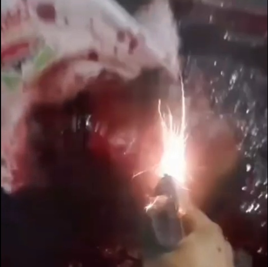  Gang Member Murdered Shot Several Times and Left on Street In Brazil