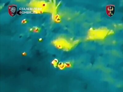 Russians literally got their asses kicked.