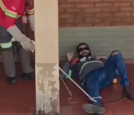 LOL: Snake Crawls up Sleeping Workers Pants.