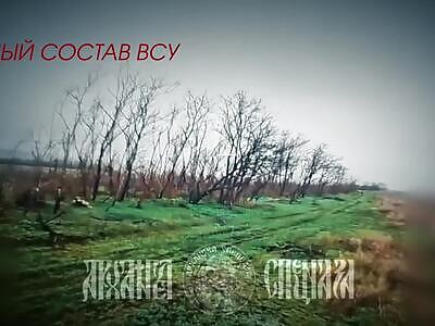 Money fell out of it like in GTA)))