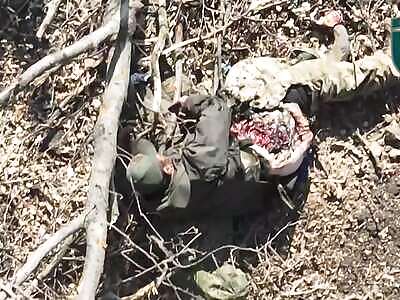 Ukraine Death Comp C