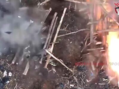 Assault on a fortified forested area southwest of settlement Nadiya