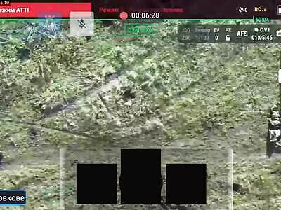 Valley of Death. Counting the Dead Russians.