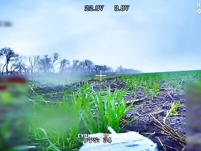 Prince Vandal Drone Ambush