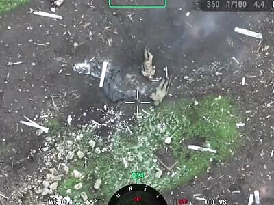 Ukrainians liberated the village of Shevchenko.