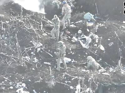 dusting mosquitoes before summer