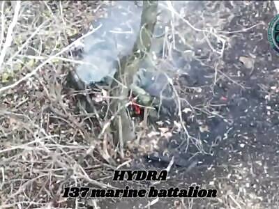 Failed Russian attack in Preobrazhenka