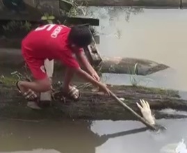Village Residents Find Severed Hand in River
