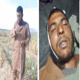 snake hunter takes his gift home