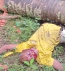 (FULL) Man Crushed by Tree