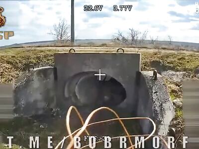 Teenage Mutant Ninja Turtles in the sewer